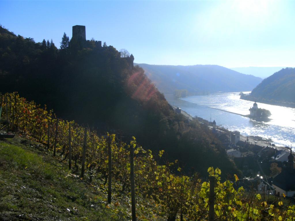 Weingut Am Lowenkopf Appartement Kaub Kamer foto